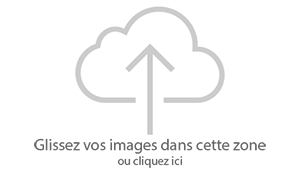 Glisser-déposer vos fichiers ici